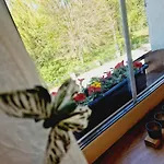 Baja Apartamento *