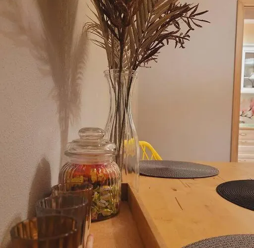 Baja 아파트 카르파츠